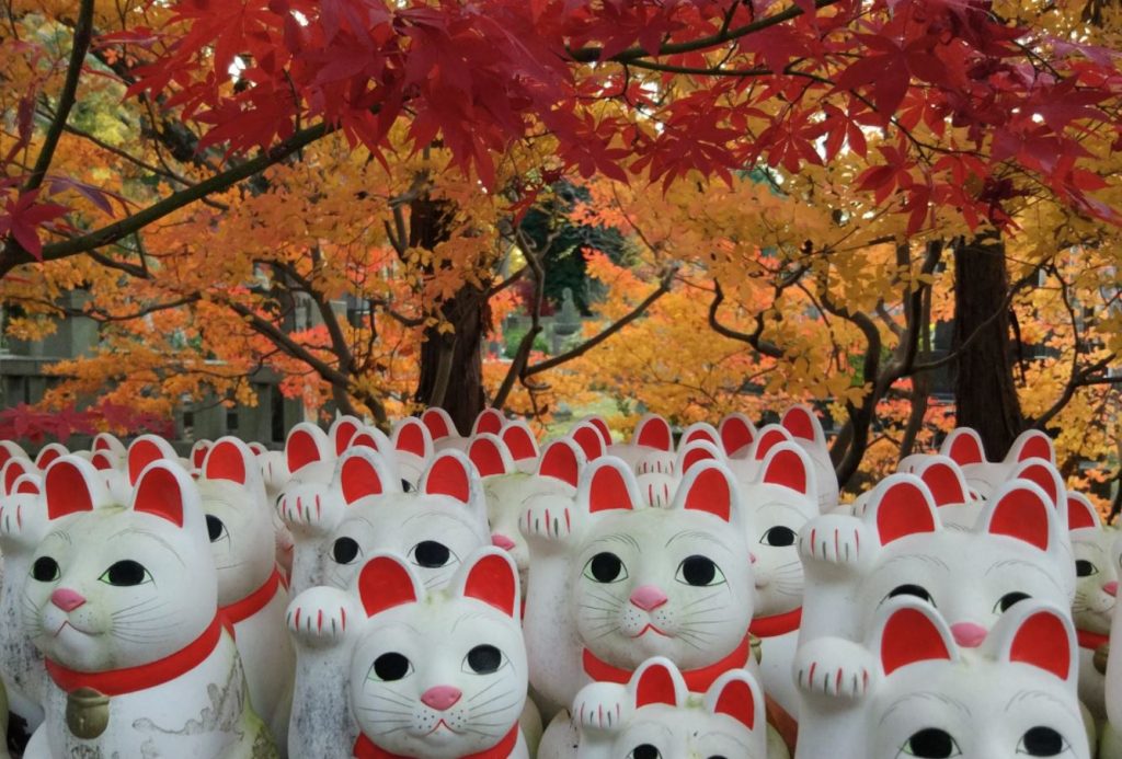 maneki neko temple tokyo