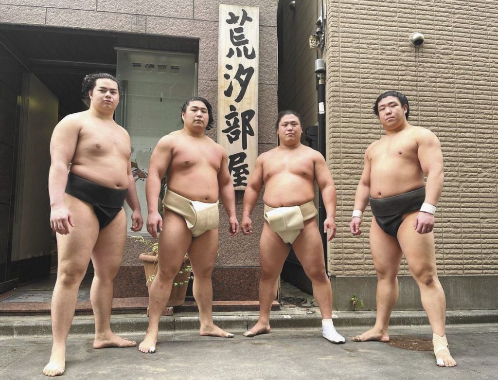 ver entrenamiento de sumo gratis en tokio arashio beya