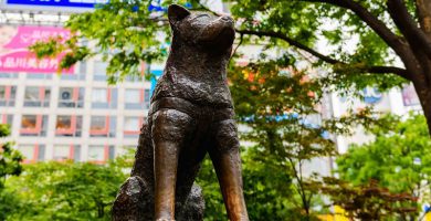 Estatua de Hachiko Japón
