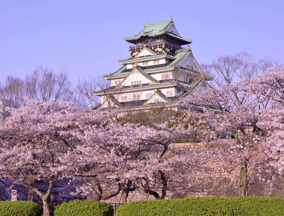 castillo en osaka sakura cerezos en flor