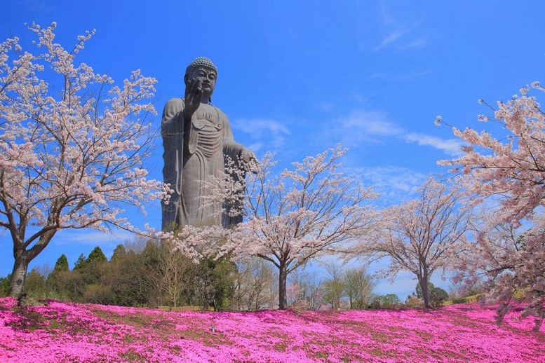 donde se encuentra la estatua mas grande de japon donde se encuentra la estatua mas grande de japon