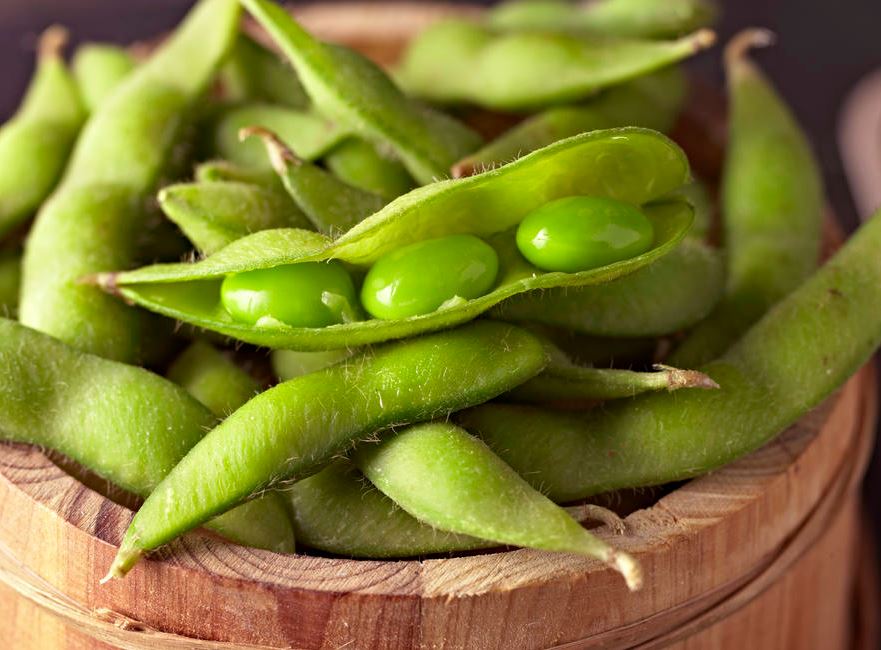 legumbres japonesas famosas legumbres japonesas famosas