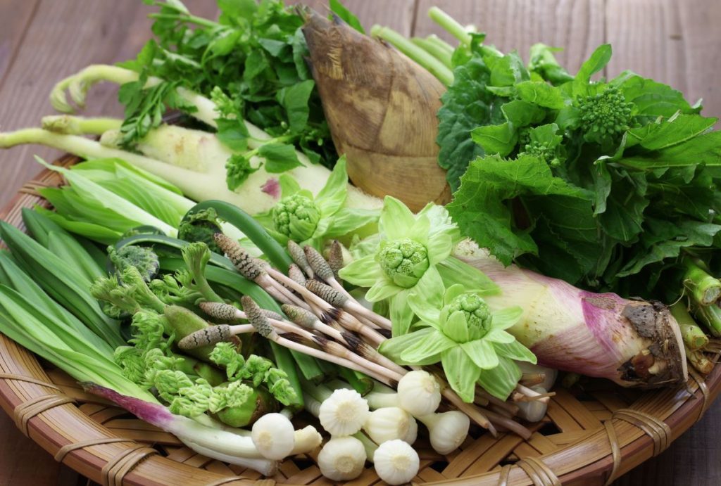 lista de verduras japonesas