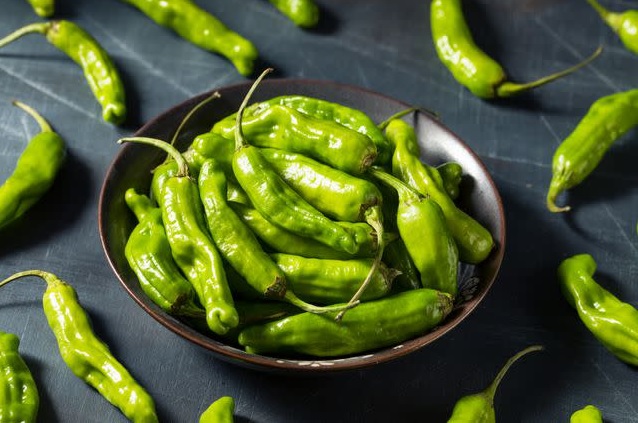 pimiento verde japones pimiento verde japones