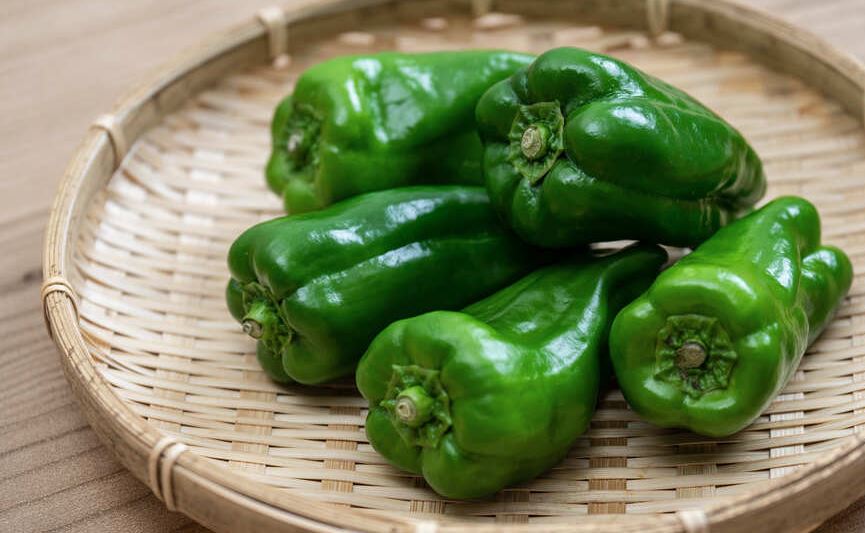 verduras de japon populares verduras de japon populares