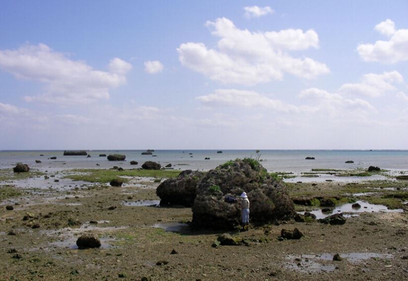 sunamis mas famosos importantes de japon sunamis mas famosos importantes de japon