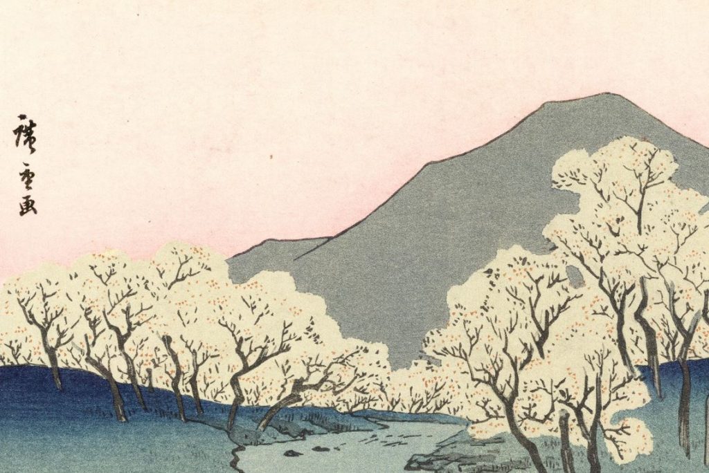 que significa haikyu que significa haikyu