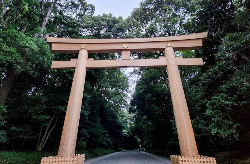 gran torii de entrada meiji shrine gran torii de entrada meiji shrine