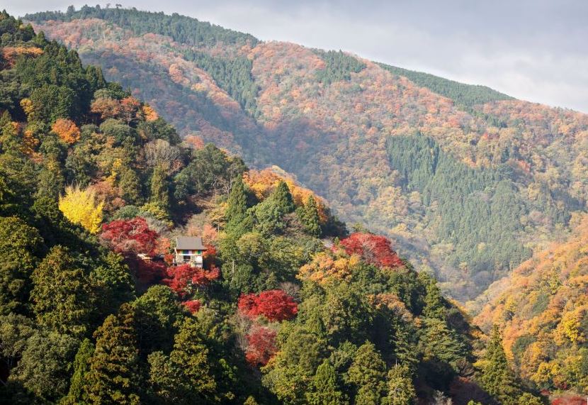que ver en arashiyama en kioto que ver en arashiyama en kioto