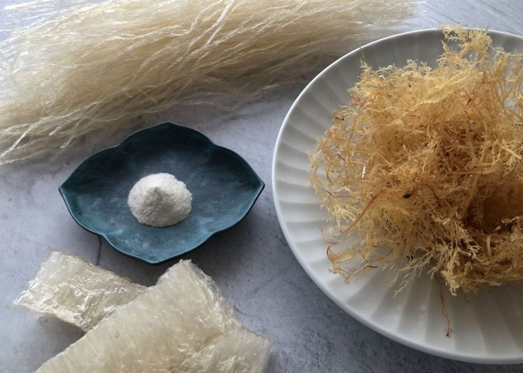 alga kanten japon alga kanten japon