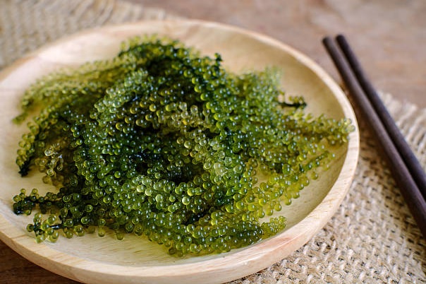alga tipica de okinawa