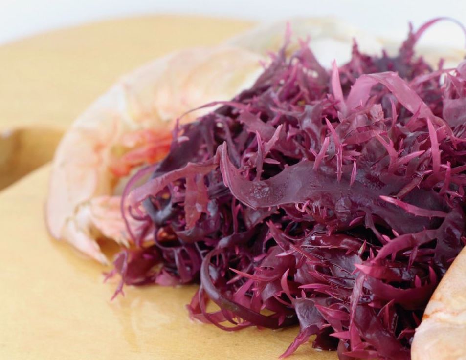 algas para comer raras algas para comer raras