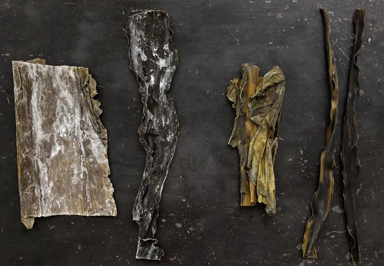 cuantos tipos de algas hay en japon cuantos tipos de algas hay en japon