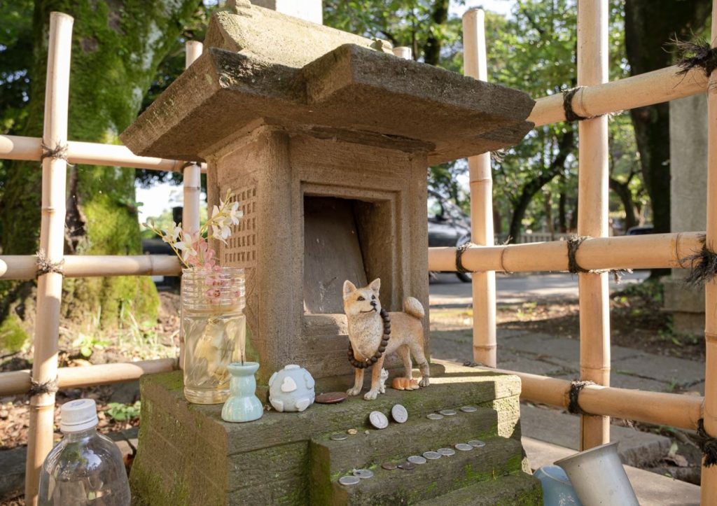 donde está la tumba de hachiko en japón