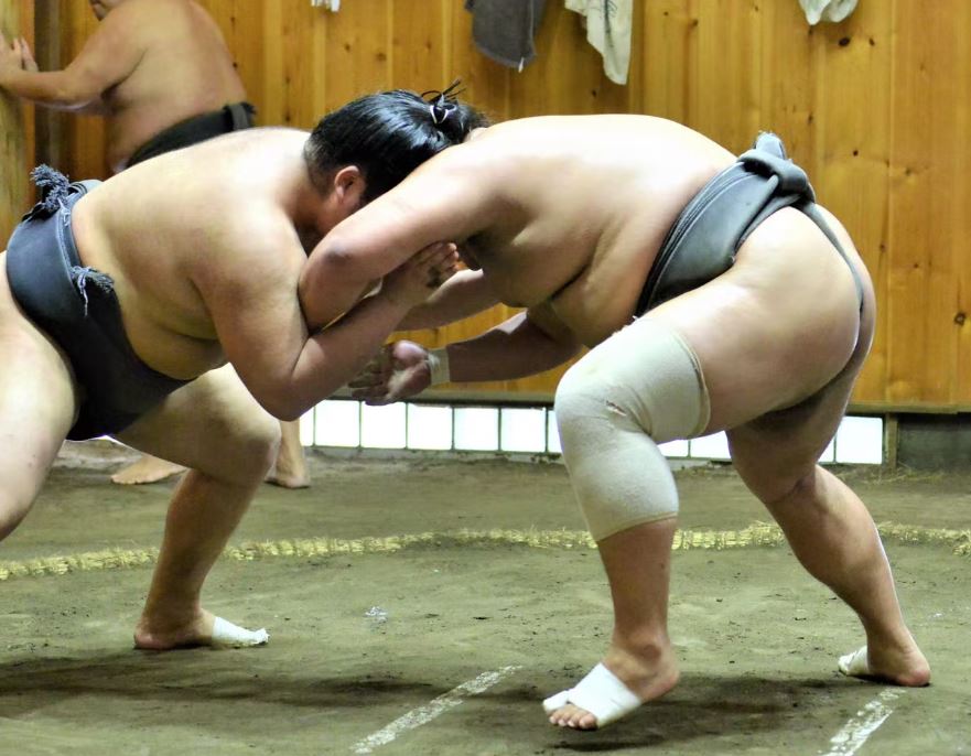 donde ver entrenamientos de sumo en japon donde ver entrenamientos de sumo en japon