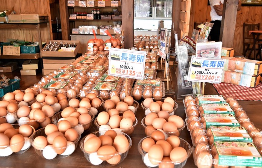 es seguro comer huevo crudo en japon es seguro comer huevo crudo en japon