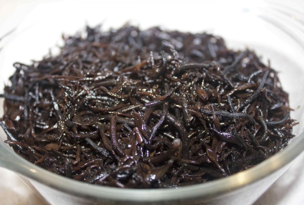 las algas son peligrosas para la salud las algas son peligrosas para la salud