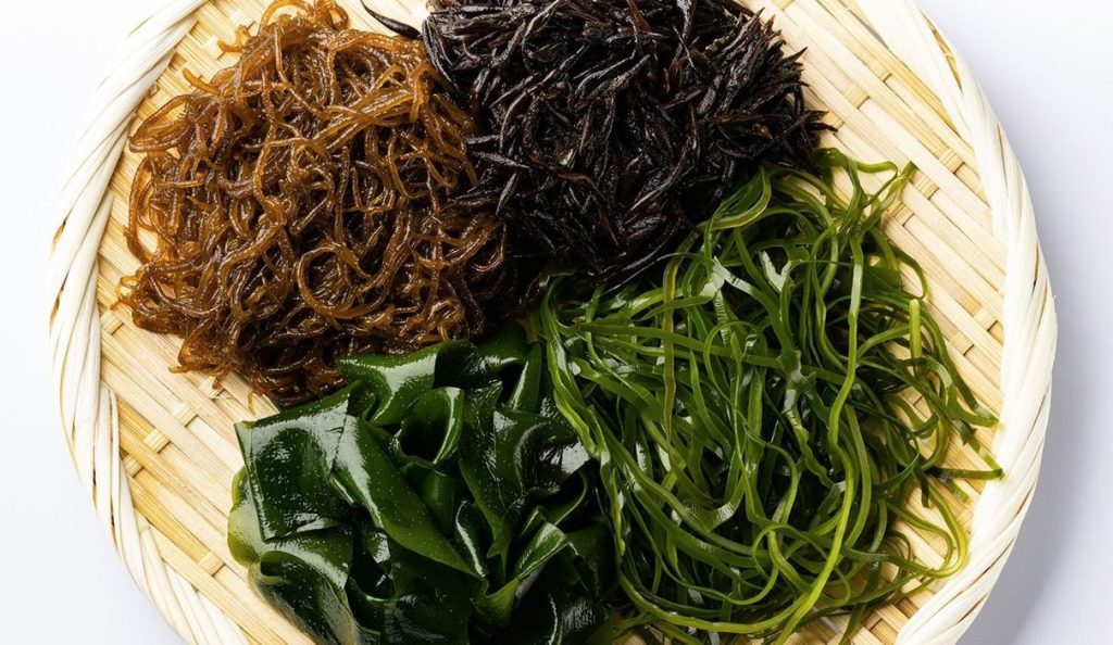 los tipos de algas japonesas mas comunes