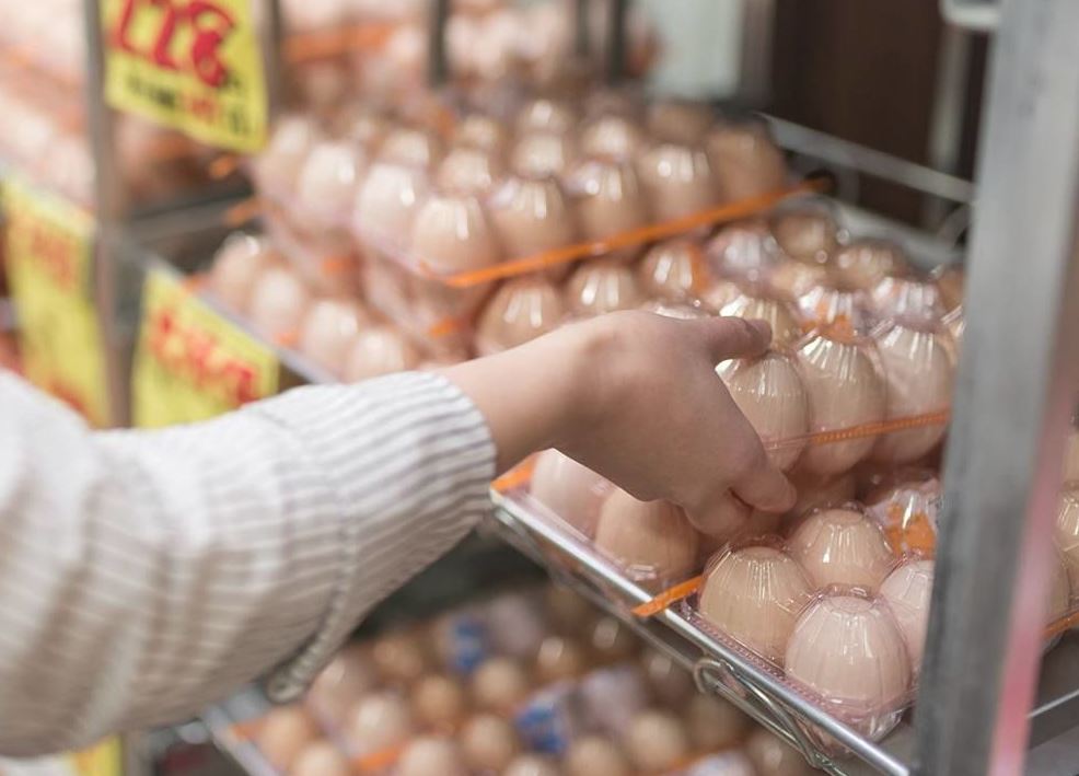 porque los chinos japoneses comen tantos huevos porque los chinos japoneses comen tantos huevos