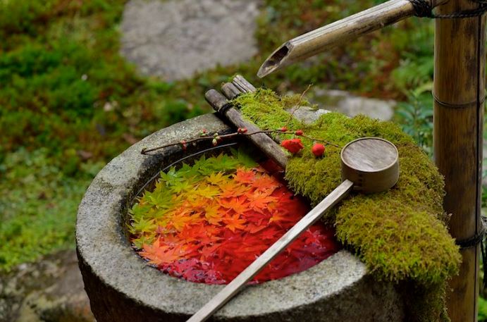temizu abluciones santuarios japoneses
