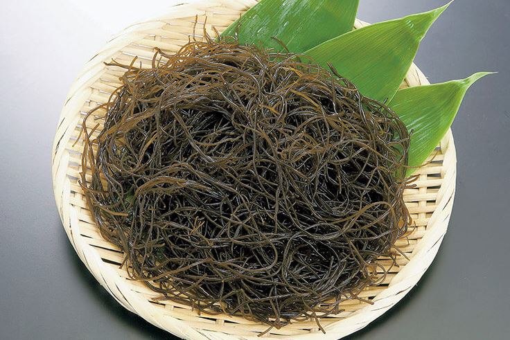 tipos de algas asiaticas tipos de algas asiaticas