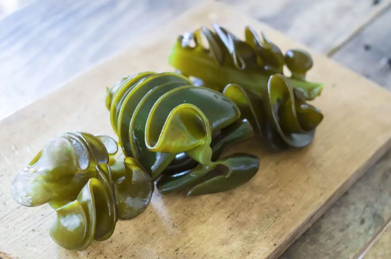 tipos de las algas japon tipos de las algas japon