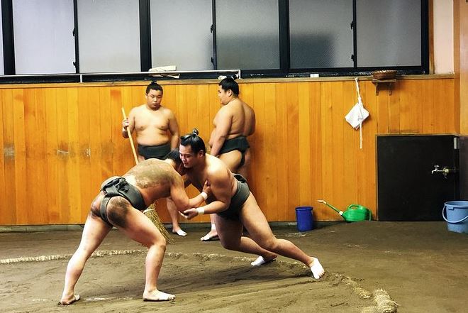 ver entrenamiento de sumo en tokyo ver entrenamiento de sumo en tokyo