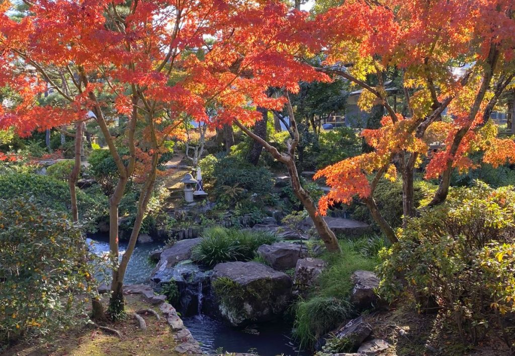 jardines shinkeien en kurashiki japon