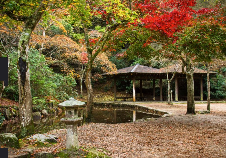 parque momijidani en otoño