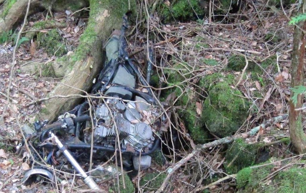 aokigahara forest japan opiniones