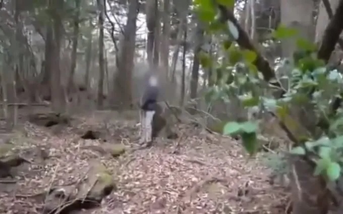 bosque aokigahara cuerpos