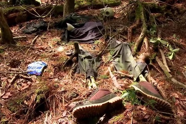 bosque de los suicidas japón google maps