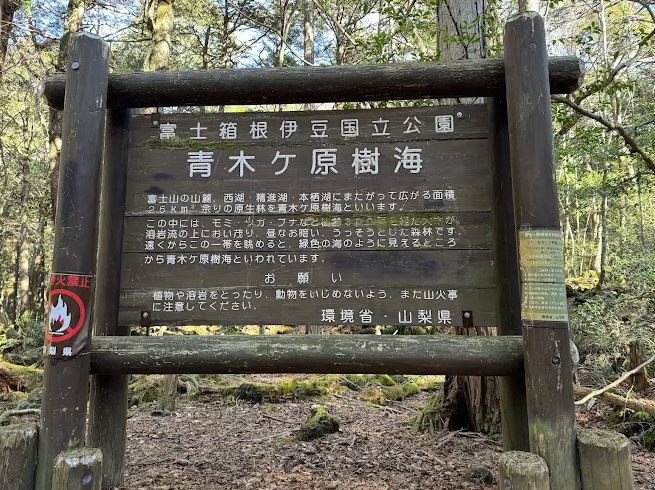 bosque de los suicidas reseñas fotos