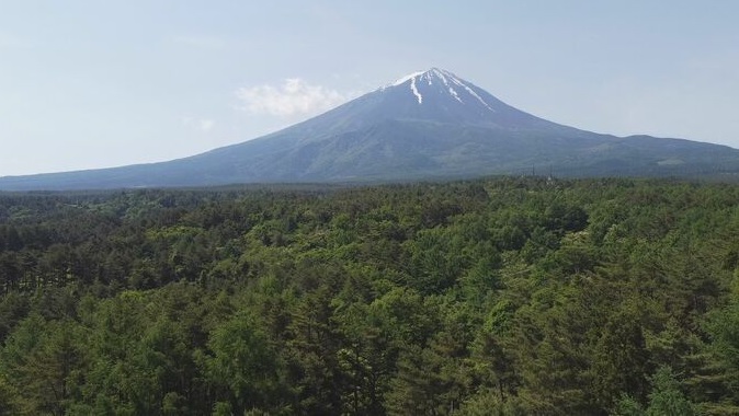 bosque suicida japon monte fuji