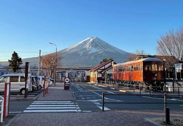 como llegar al bosque aokigahara