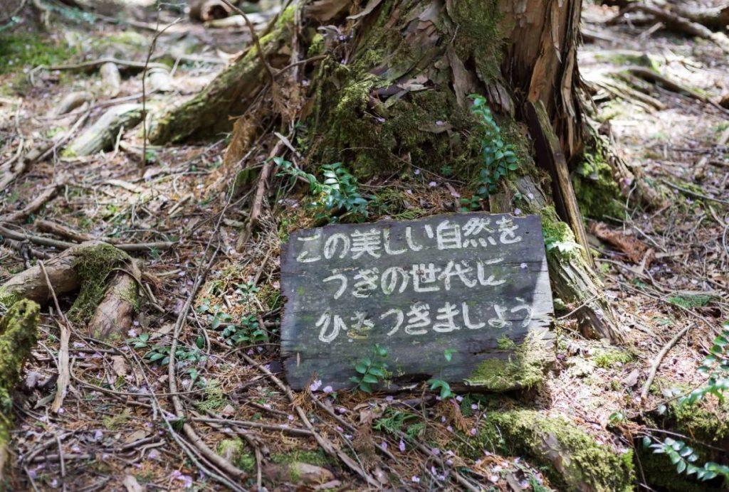 el bosque de los suicidios película japonesa
