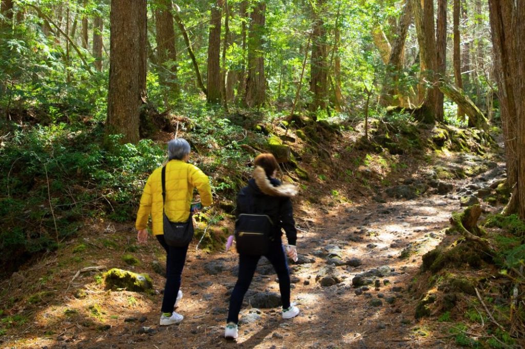 excursion a aokigahara japon