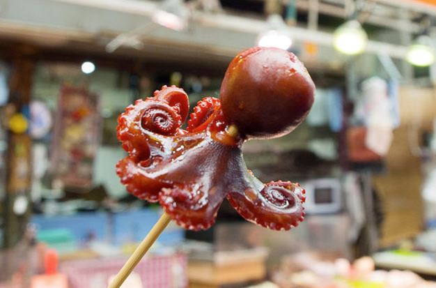 tako tamago pulpo con huevo cocido en la cabeza tako tamago pulpo con huevo cocido en la cabeza