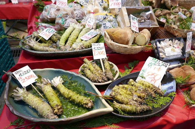 wasabi que es y para que sirve wasabi que es y para que sirve