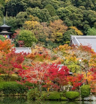 guia de visita templo eikando japon