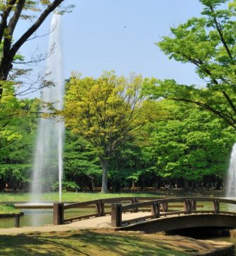 yoyogi parque sin iluminación día