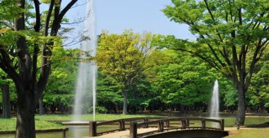 yoyogi parque sin iluminación día