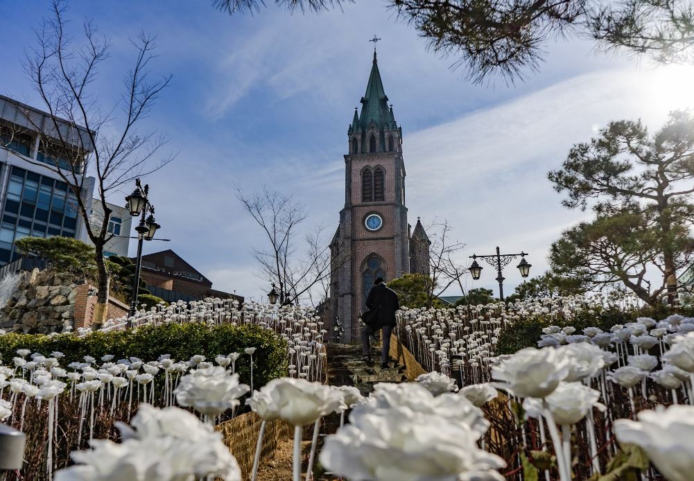 catedral de la inmaculada concepcion seul catedral de la inmaculada concepcion seul
