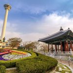 mejores cosas para ver en busan