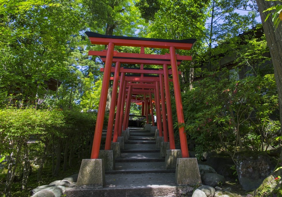 camino de toriis en japon
