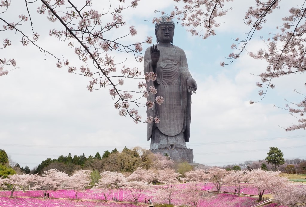 buda a las afueras de tokio japon buda a las afueras de tokio japon