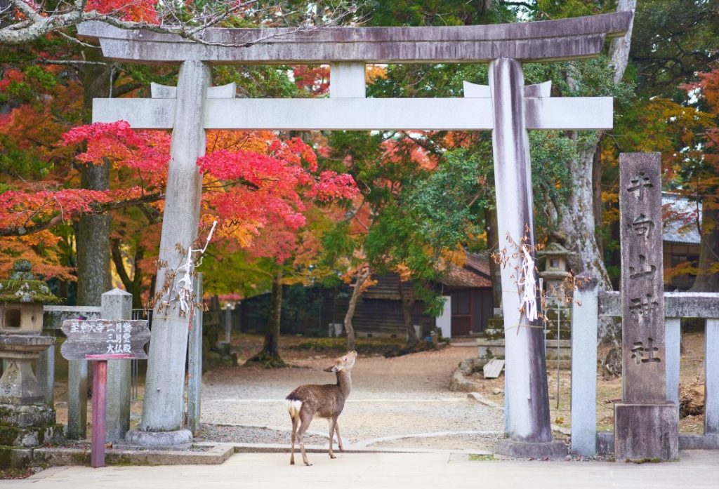 itinerarios gratuitos de japon itinerarios gratuitos de japon