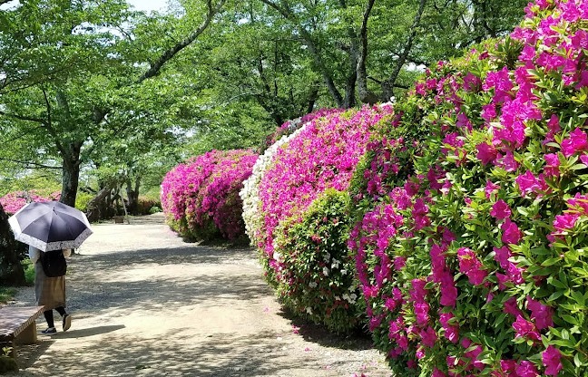 Jardín botánico de Handayama