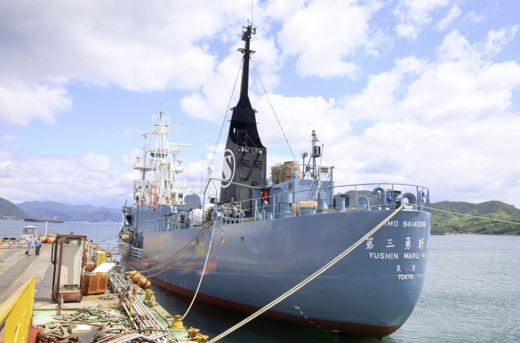 barcos de caza de ballenas en japon barcos de caza de ballenas en japon