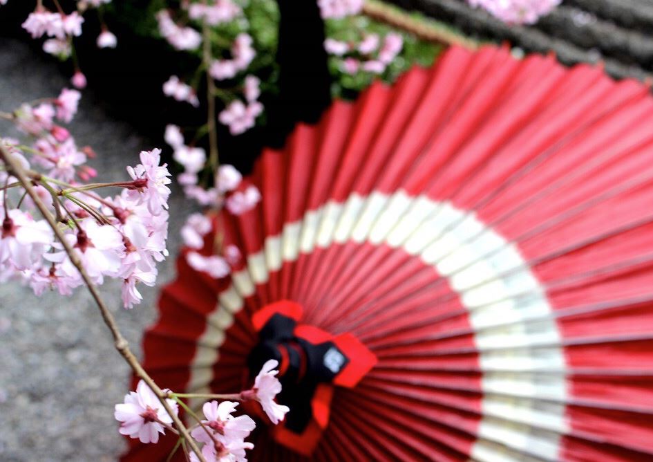 paraguas japones tradicional paraguas japones tradicional